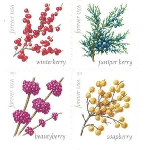 100 Winter Berries 2019 Forever Postage Stamps USPS Christmas Cards‎ Weddings